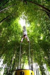 印象太極